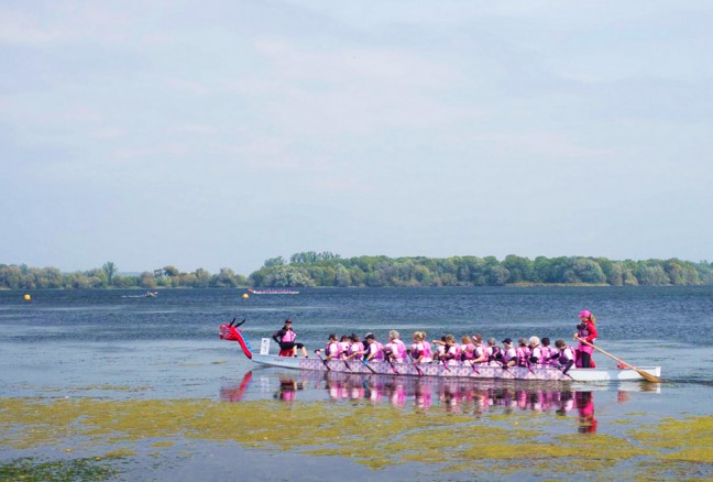 Survivor's Abreast Dragonboating team in their race against Kingston Chestmates.