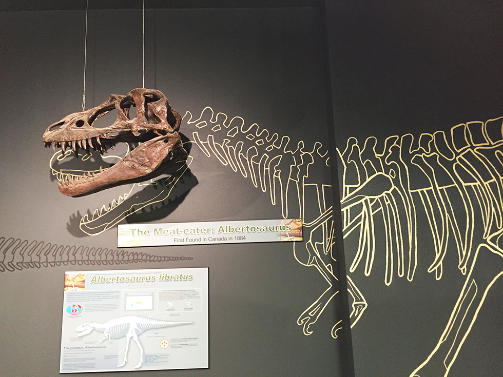 Get a view of an Albertosaurus!