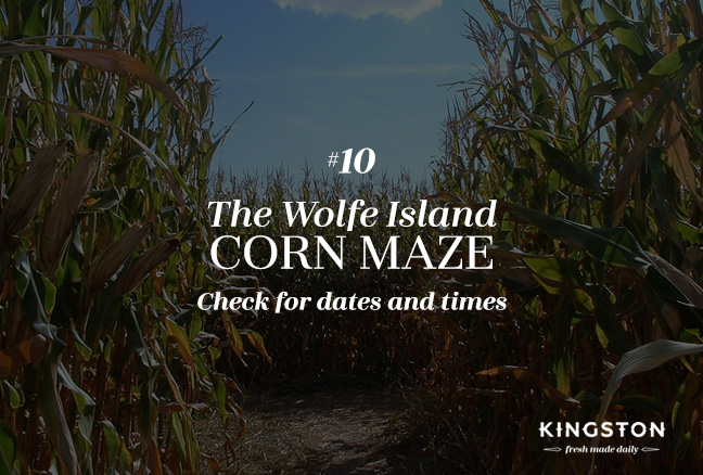 10_wolfeislandcornmaze