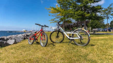 14 Kingston Bike Tours