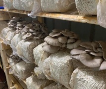 117033369 155082846219595 1095222064028792779 n