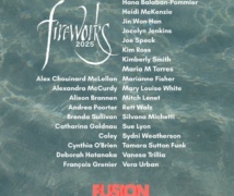 Fireworks2025