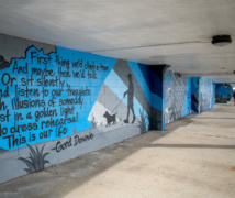 RS17611 Delta Waterfront Mural by Aaron Forsyth lpr