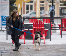 RS18962 Kingston Dog Merch scr