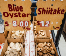 RS55493 260111 Kingstonlicious 04926 lpr