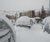 RS55697 260115 Kingstonlicious 1152740 lpr