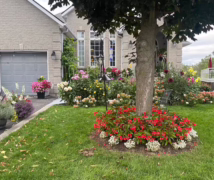 Bbd82956 6833 436a b148 a2559804ecaa