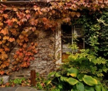 Fall kingston