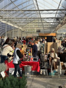 558997035 1546436929664343 8783315736081238547 n