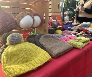 Fat Goose Craft Sale