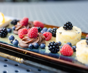 RS51944 OHARE IMG 8302 lpr