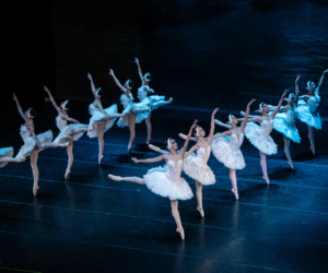 Swan Lake Grand Theatre
