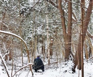 Winter Solstice Forest Walk