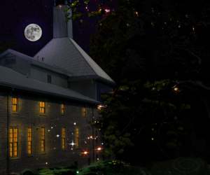 Tett after dark enchanted forest wide