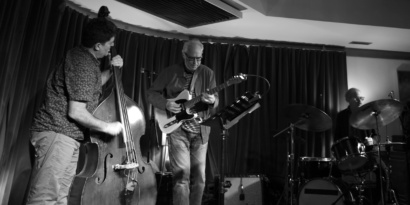 Bill Frisell Trio Live photo by SM Turrell 2914 CROP