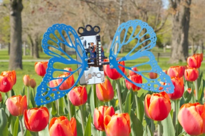 1 robot butterfly city park tulips 03