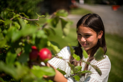 RS35137 waddell apples 043 lpr