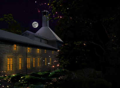 Tett after dark enchanted forest wide