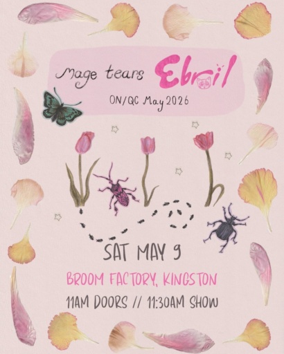 MAGE TEARS EBRIL KINGSTON 4 X5