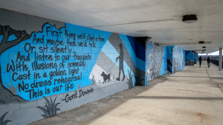 RS17611 Delta Waterfront Mural by Aaron Forsyth lpr