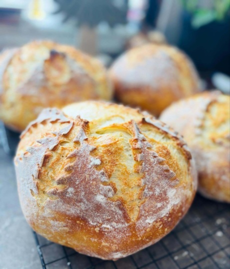 590425382 17922781887197703 3372905196799676036 n