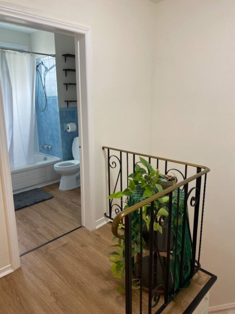 0dc88cbc 2bbd 4609 bb64 c7df8e68b23a