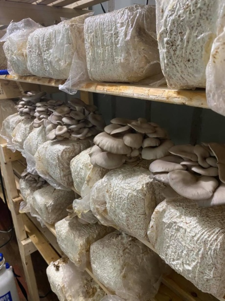 117033369 155082846219595 1095222064028792779 n