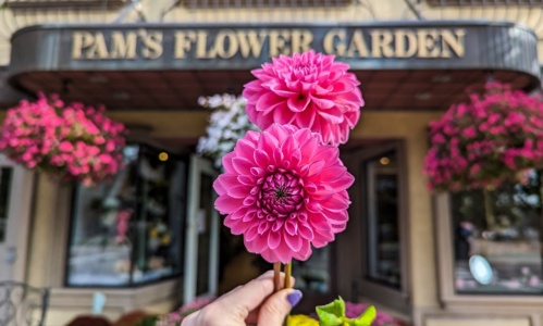 468099296 122203245332062273 6583564072096227883 n