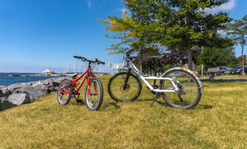 RS43844 14 Kingston Bike Tours