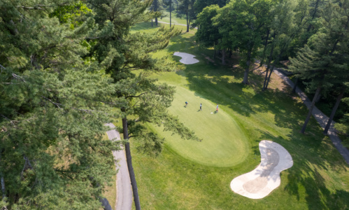 RS46818 dji golf 0061