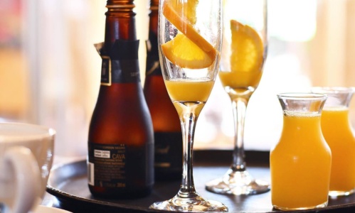 Chezpiggy mimosa