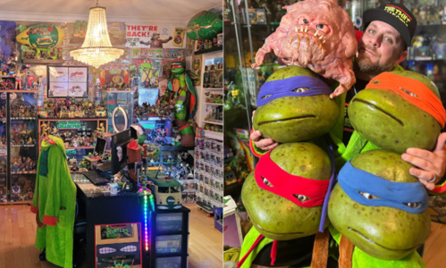 Largest collection of teenage mutant ninja turtles memorabilia guinness