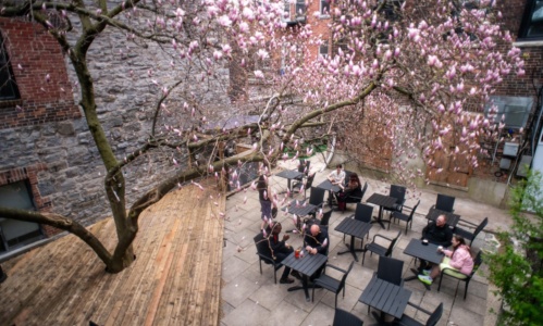 Musiikki patio