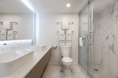 Executive Suite Bathroom 9 DAFE550 919 E 4847 AC188185 A73 E06 A6 7ad65d02 2563 44f8 ac0db93abc88e9e4