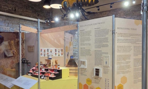 Bees
