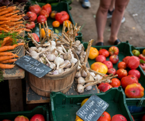 21 Memorial Centre Farmers Market Aug25 Thing FR