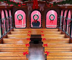 1 Christmas Light Trolley Tour Holiday25 Thi