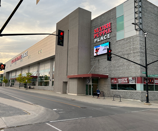 visit-kingston-25-things-to-do-in-kingston-this-december