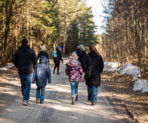 2 Family Forest Walks