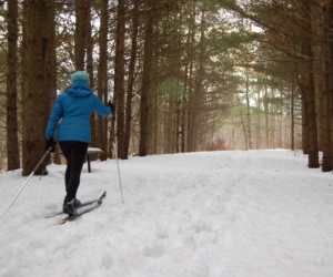 2 Snowshoeing and Skiing
