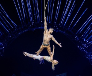 3 Cirque du Soleil OVO