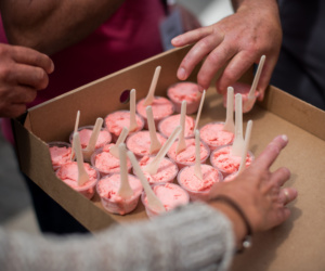 8 Kingston Food Tours