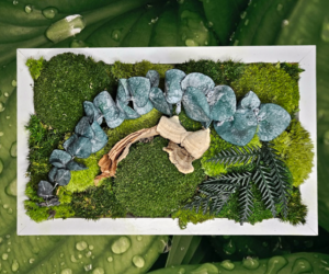 17 Botanical moss art workshop Nov25 Thingim