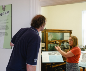 17 Guided Tours Museum Of Health Care