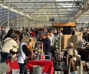 20 Sun Harvest Holiday Market