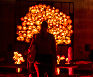 3 Pumpkinferno Oct25 Thing
