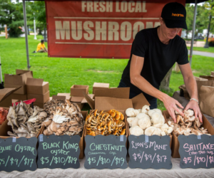 4 Memorial Centre Farmers Market Oct25 Thing