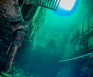 8 PADI Zombie Apocalypse Diver Course Oct25 Thing