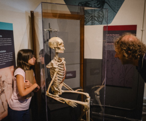 24 Trivia Museum Of Health Care