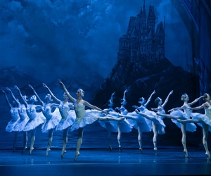 22 Swan Lake
